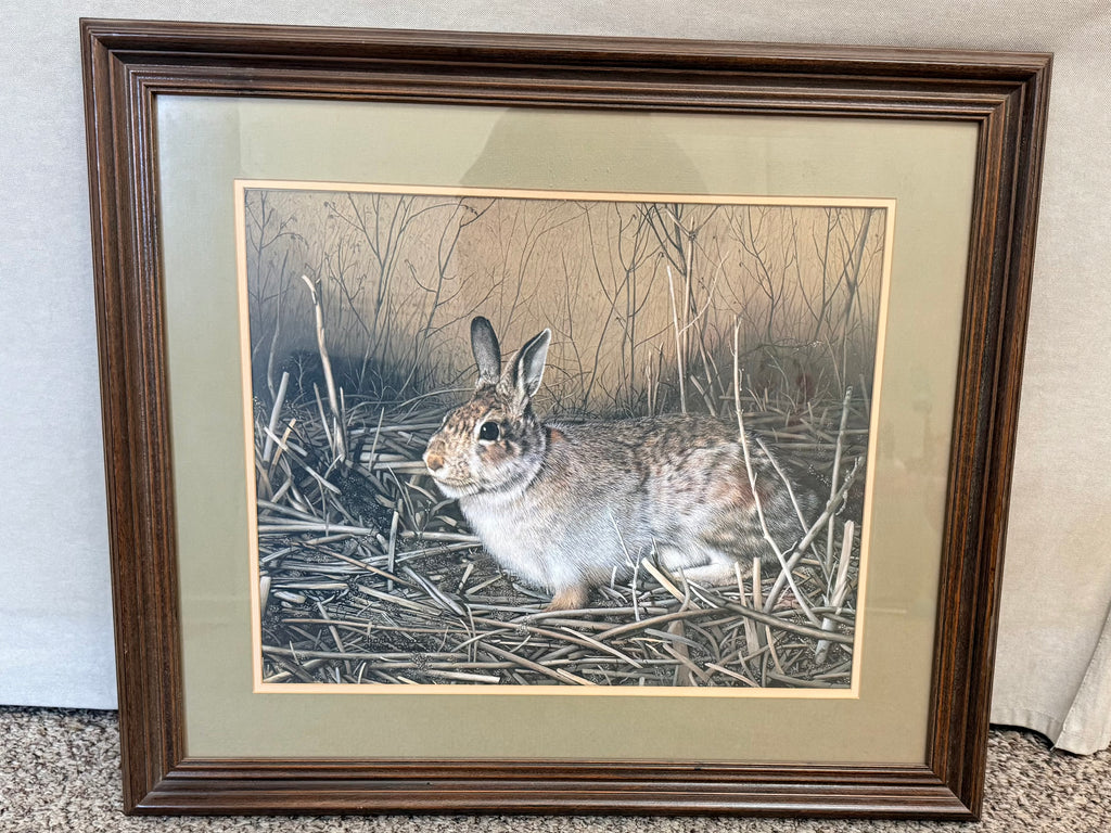 Vintage Charles Fracé “My Friend” Rabbit Print | Signed Limited Edition Wildlife Art | Framed Cottontail Bunny Lithograph | Original Paperwork
