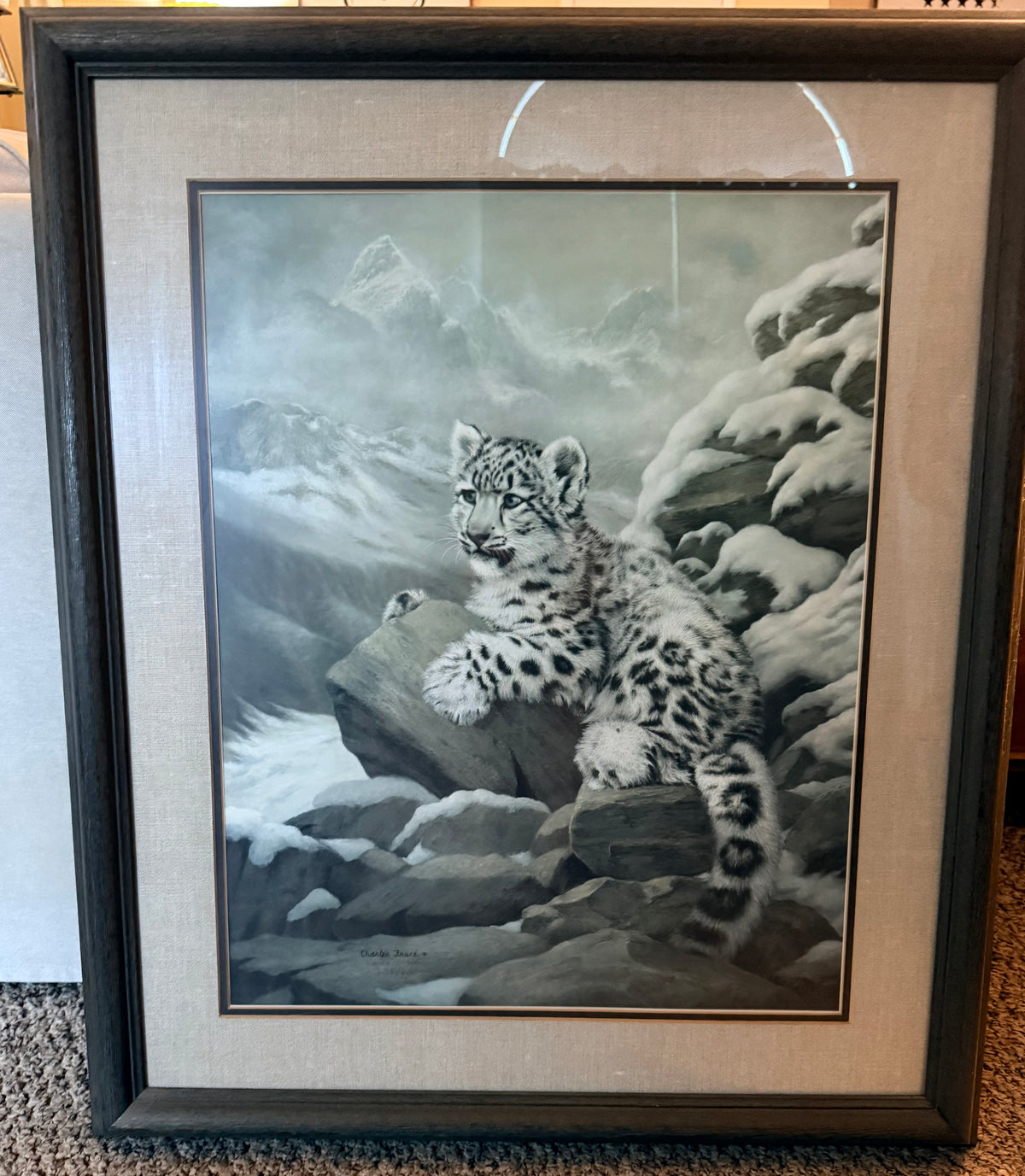 1975 Charles Fracé Snow Leopard Print Signed Numbered 295/2500 | 28x33 Framed Limited Edition Wildlife Art | Vintage Big Cat Decor