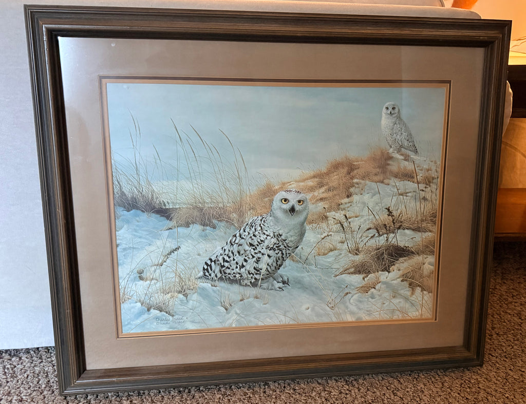 Signed Charles Fracé Snowy Owl Print | Vintage Limited Edition Wildlife Art | Frame House Gallery Collector Print | Framed Owl Wall Art