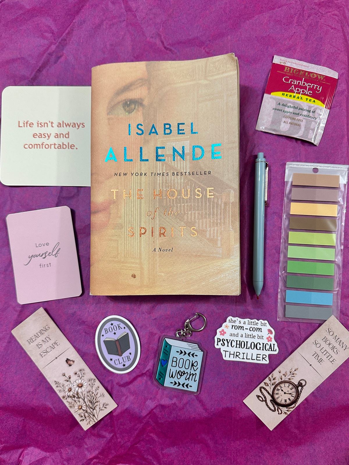 Blind Date With a Book Gift Box | Thrifted Mystery Book With Bookish Goodies | Reader Care Package | Surprise Book Lover Gift