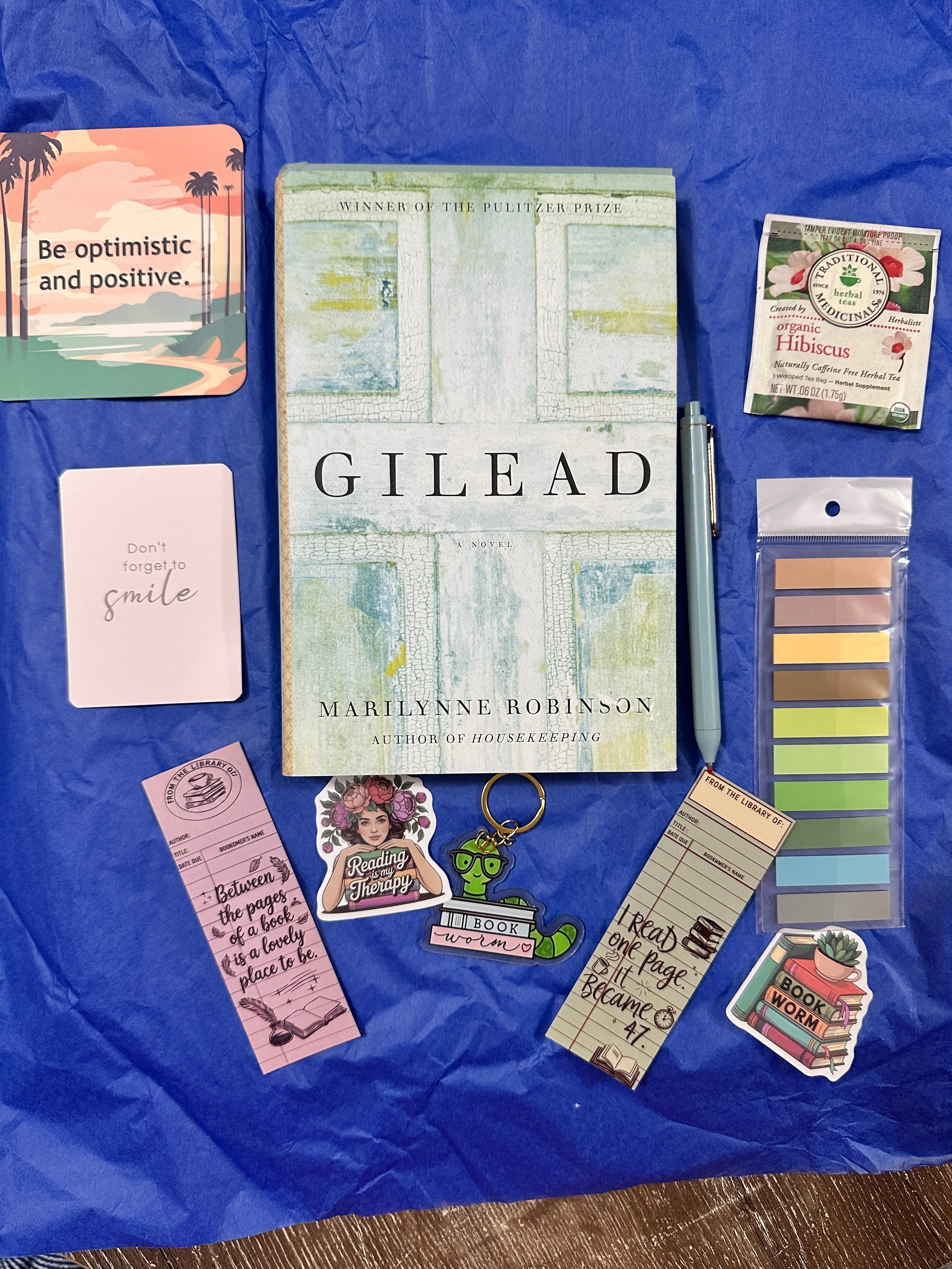 Blind Date With a Book Gift Box | Thrifted Mystery Book With Bookish Goodies | Reader Care Package | Surprise Book Lover Gift