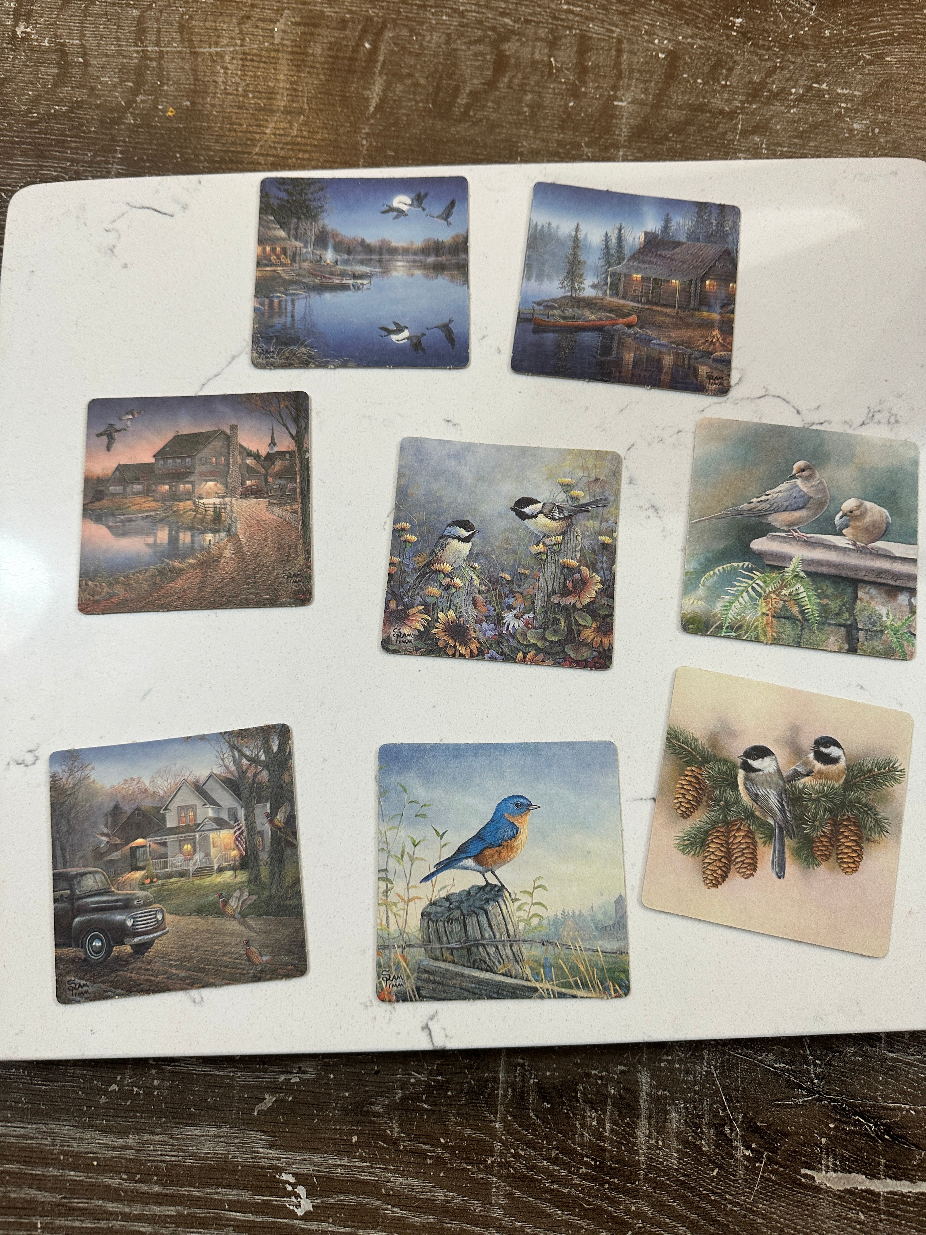Vintage Sam Timm Boys Town Coasters Set of 8 | Bird Wildlife Cabin Art Coasters | Rustic Lodge Decor | Vintage Nature Collectible