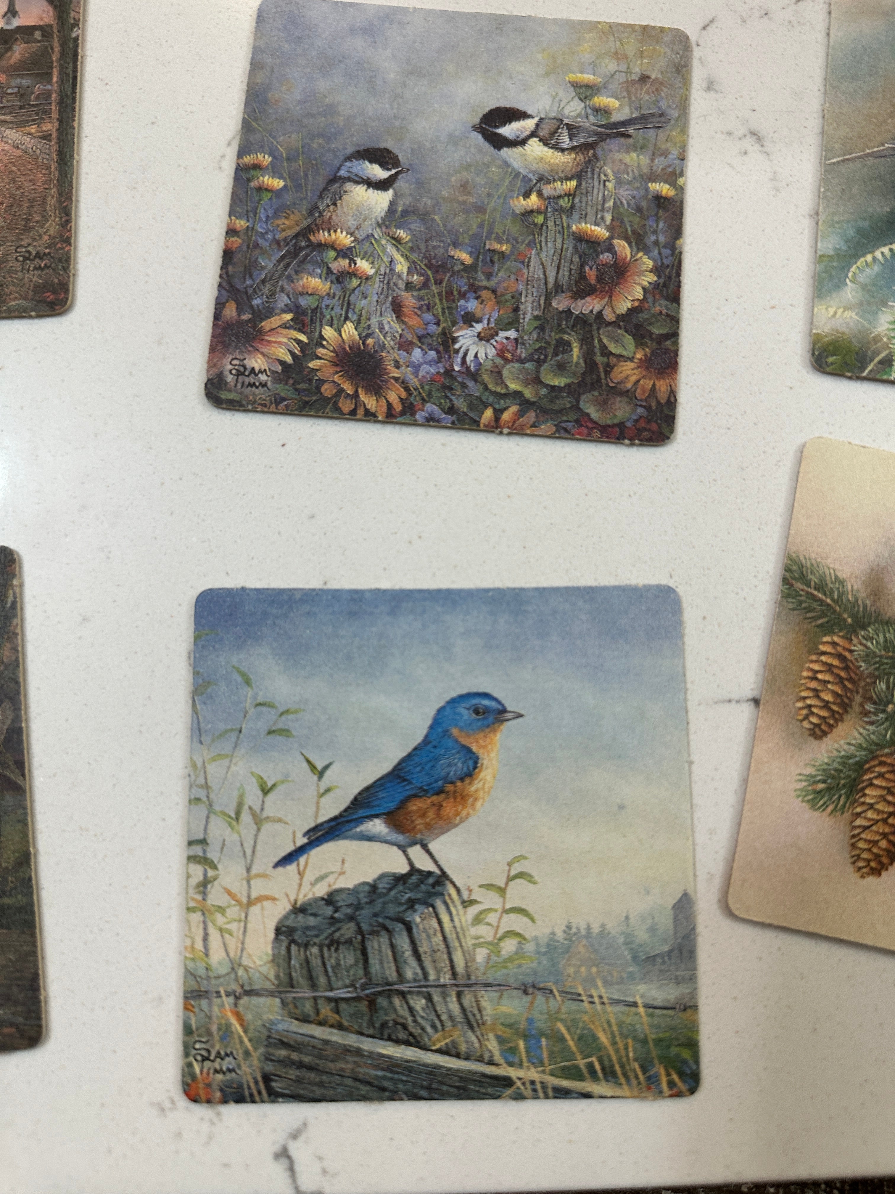 Vintage Sam Timm Boys Town Coasters Set of 8 | Bird Wildlife Cabin Art Coasters | Rustic Lodge Decor | Vintage Nature Collectible