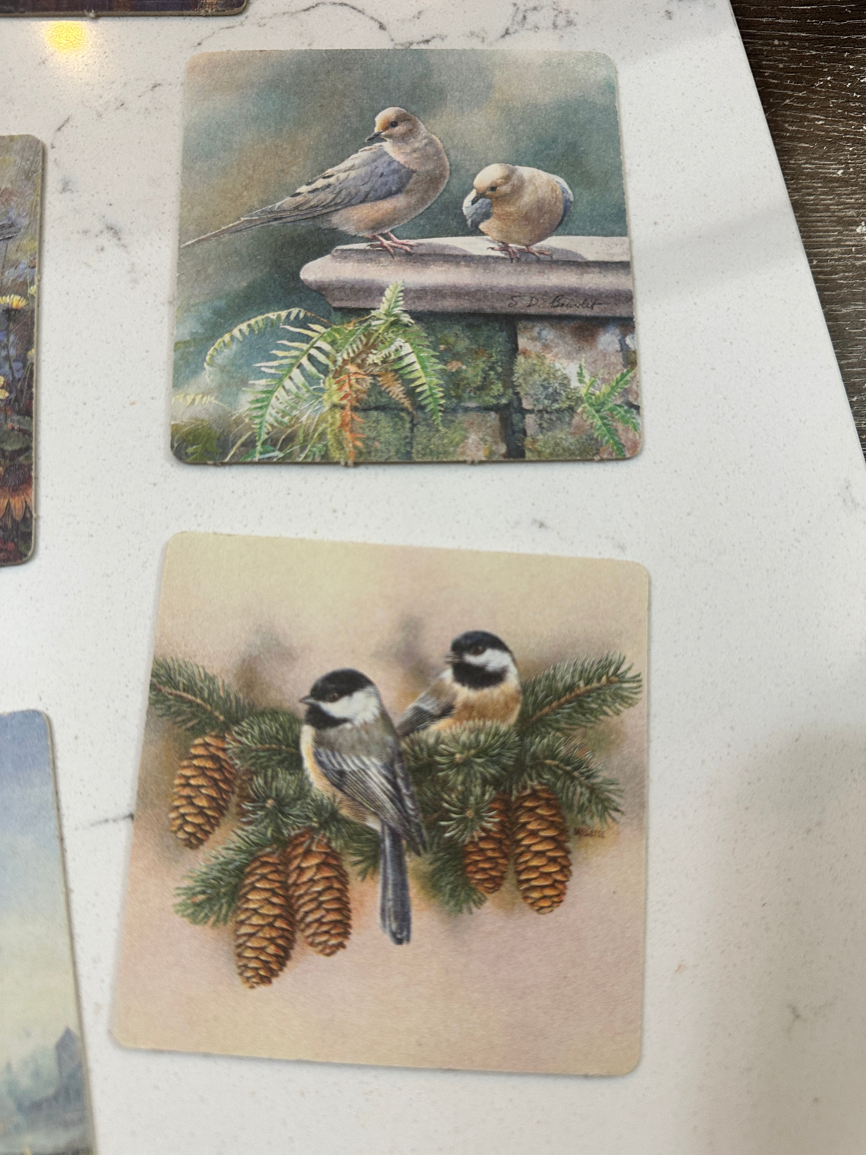 Vintage Sam Timm Boys Town Coasters Set of 8 | Bird Wildlife Cabin Art Coasters | Rustic Lodge Decor | Vintage Nature Collectible