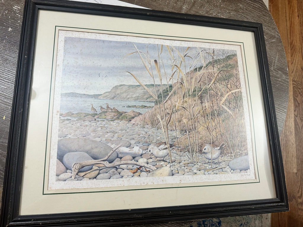 Peter Barrett Winter’s Twilight on the Dorset Coast Signed Print | Vintage 1984 Coastal Bird Art | Franklin Gallery COA | 22x18 Framed