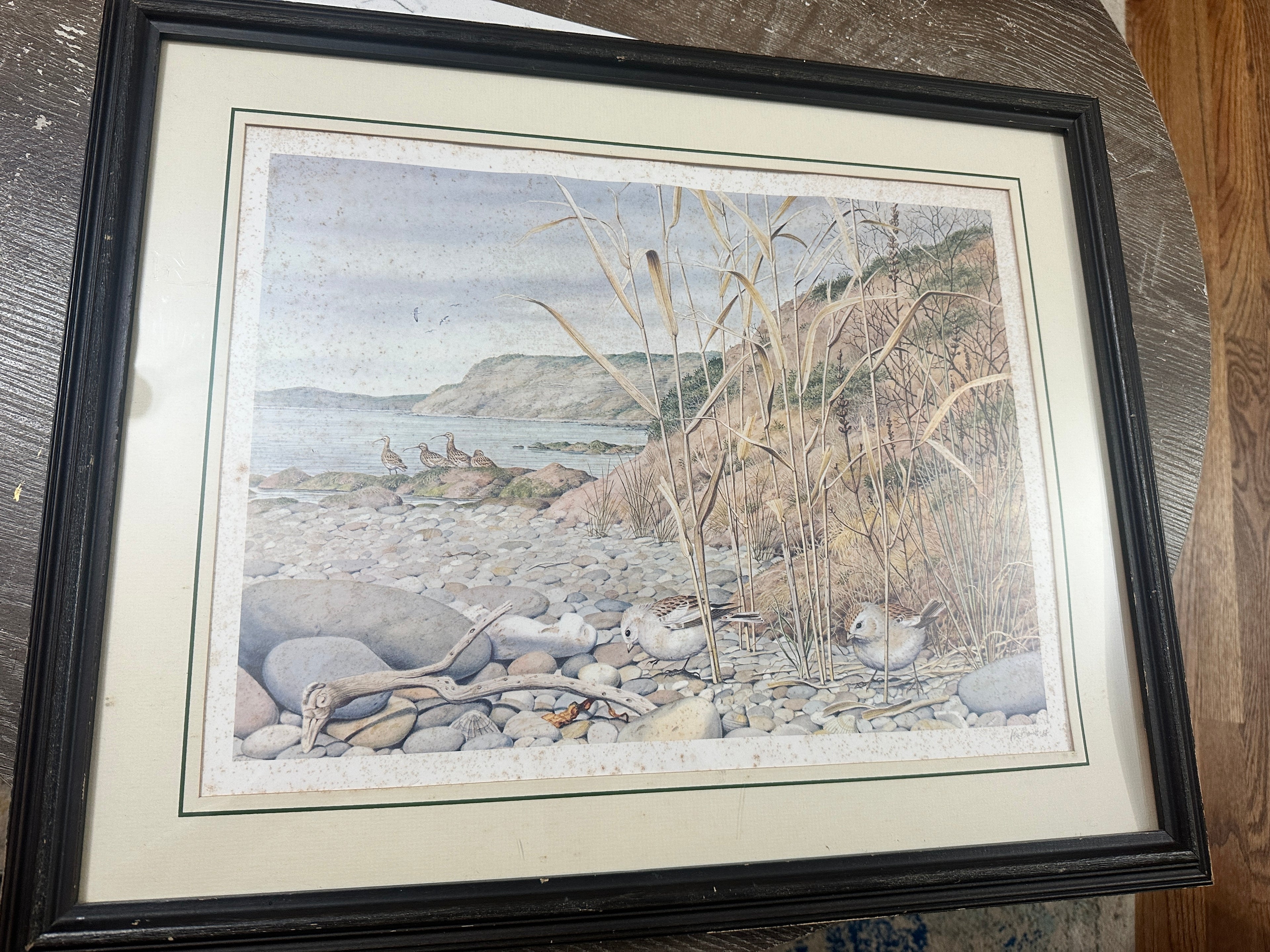 Peter Barrett Winter’s Twilight on the Dorset Coast Signed Print | Vintage 1984 Coastal Bird Art | Franklin Gallery COA | 22x18 Framed