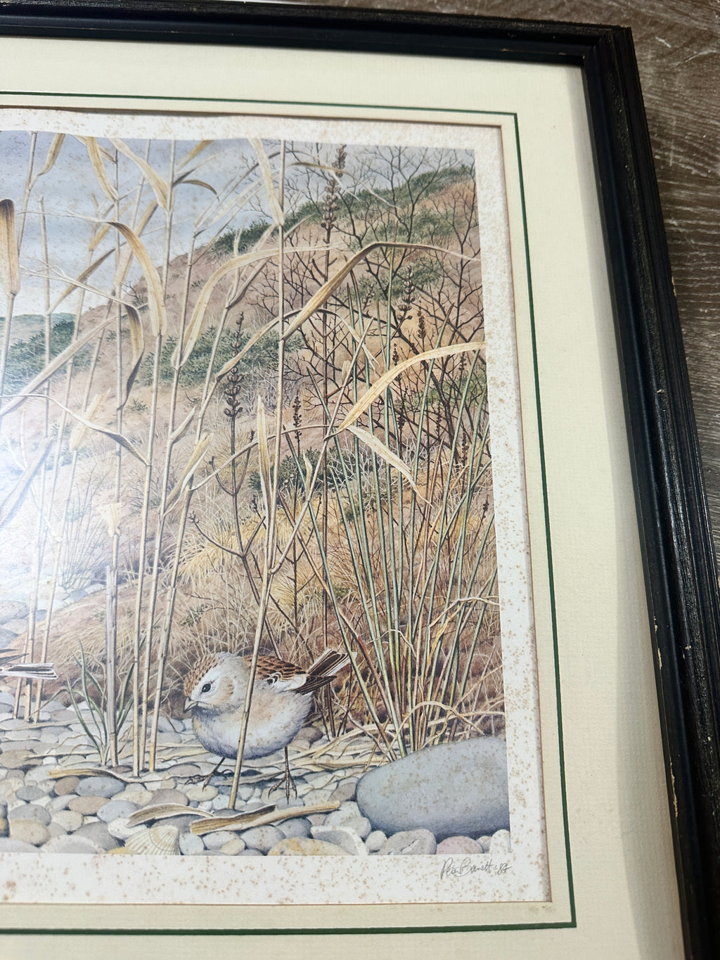 Peter Barrett Winter’s Twilight on the Dorset Coast Signed Print | Vintage 1984 Coastal Bird Art | Franklin Gallery COA | 22x18 Framed