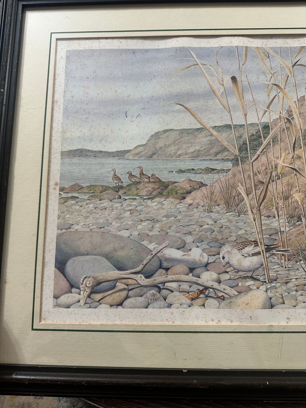 Peter Barrett Winter’s Twilight on the Dorset Coast Signed Print | Vintage 1984 Coastal Bird Art | Franklin Gallery COA | 22x18 Framed