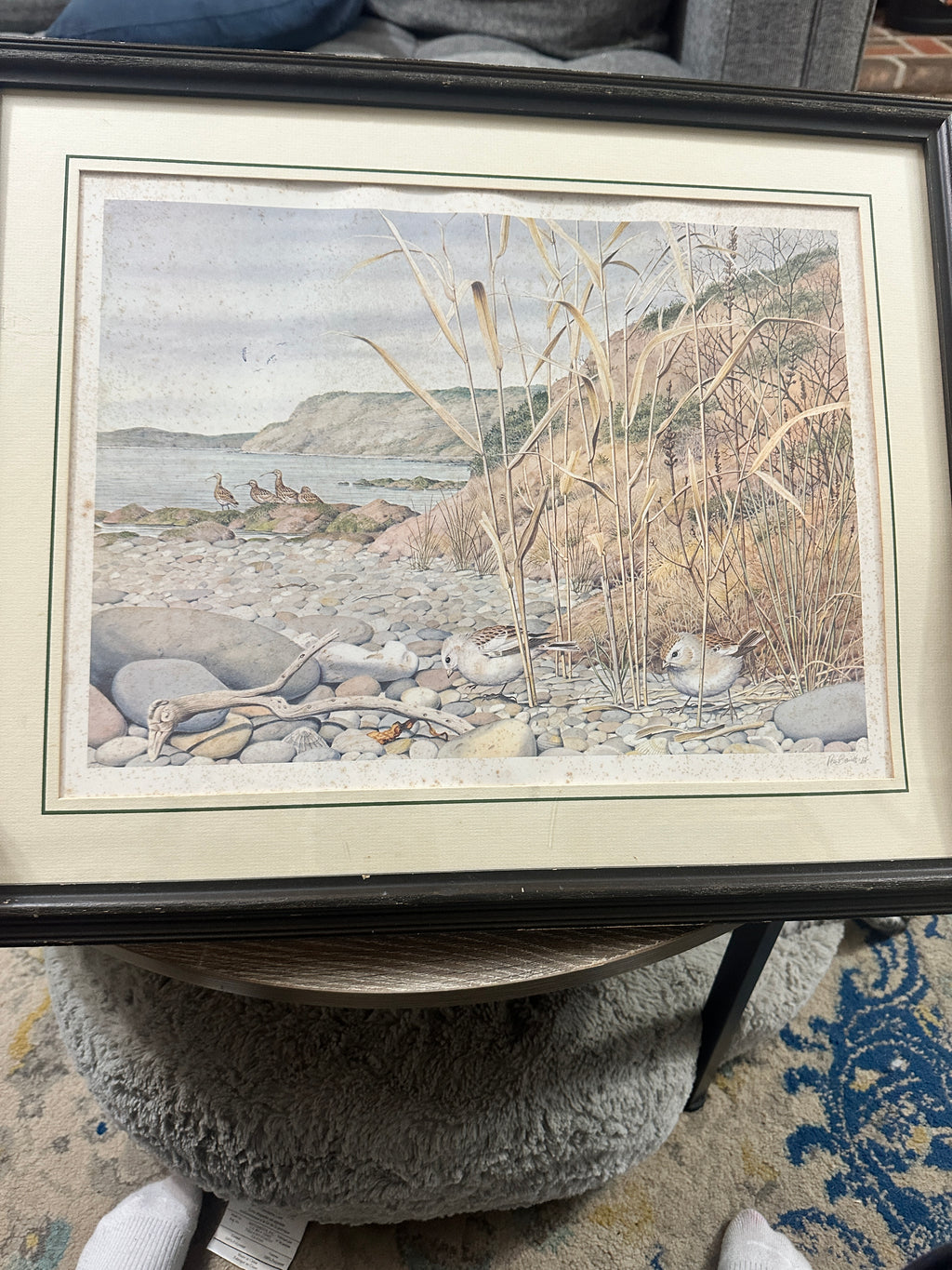 Peter Barrett Winter’s Twilight on the Dorset Coast Signed Print | Vintage 1984 Coastal Bird Art | Franklin Gallery COA | 22x18 Framed