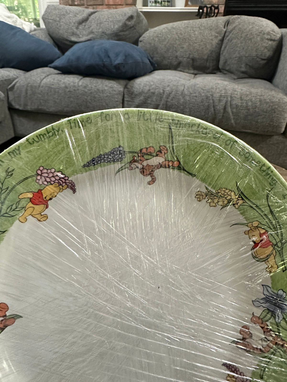 Disney Poohtanicals Dinnerware Set Winnie the Pooh Tigger Plates Floral Green Vintage Disney Stoneware Cottagecore Kitchen