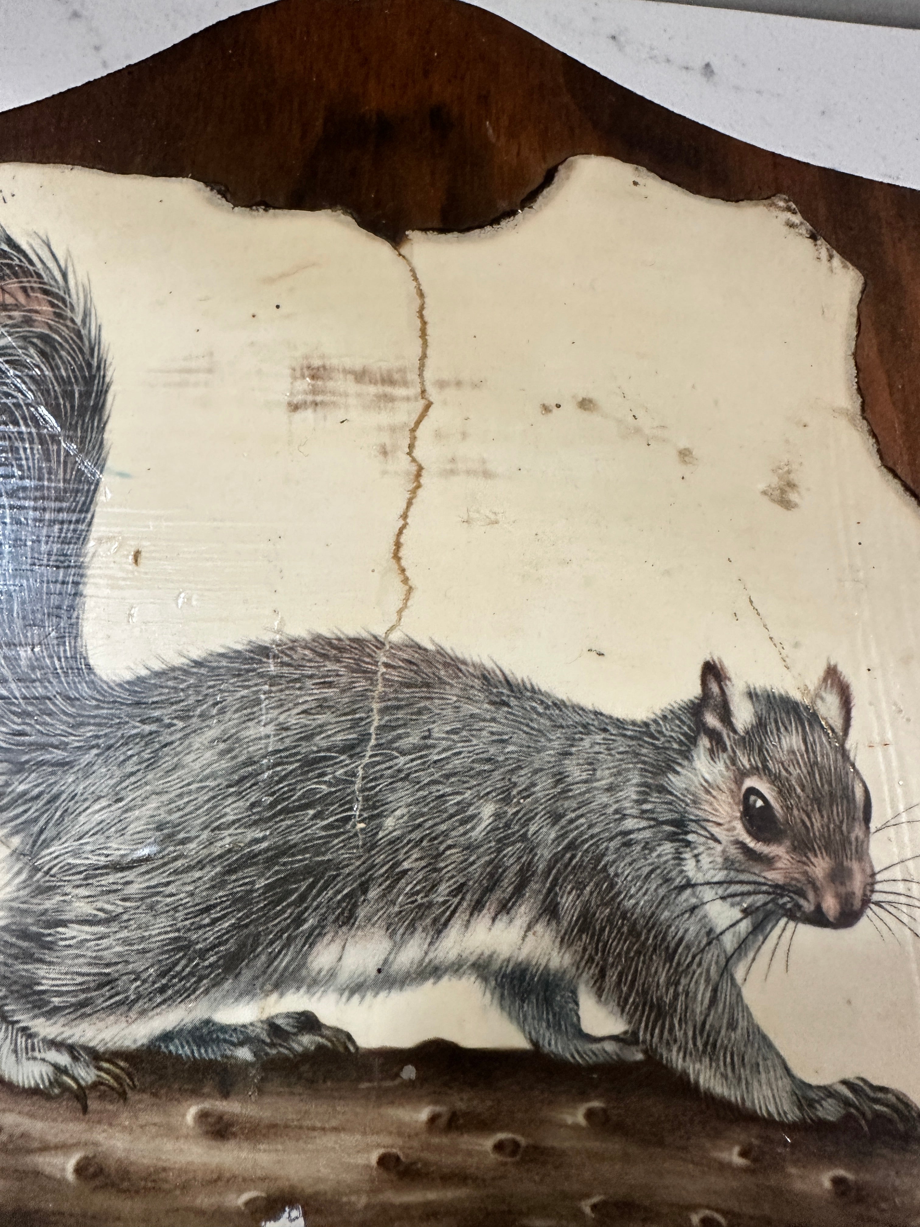Vintage Rustic Squirrel Wood Wall Plaque | Woodland Cabin Decor | Handcrafted Wildlife Wall Hanging | 1970s Forest Lodge Decor