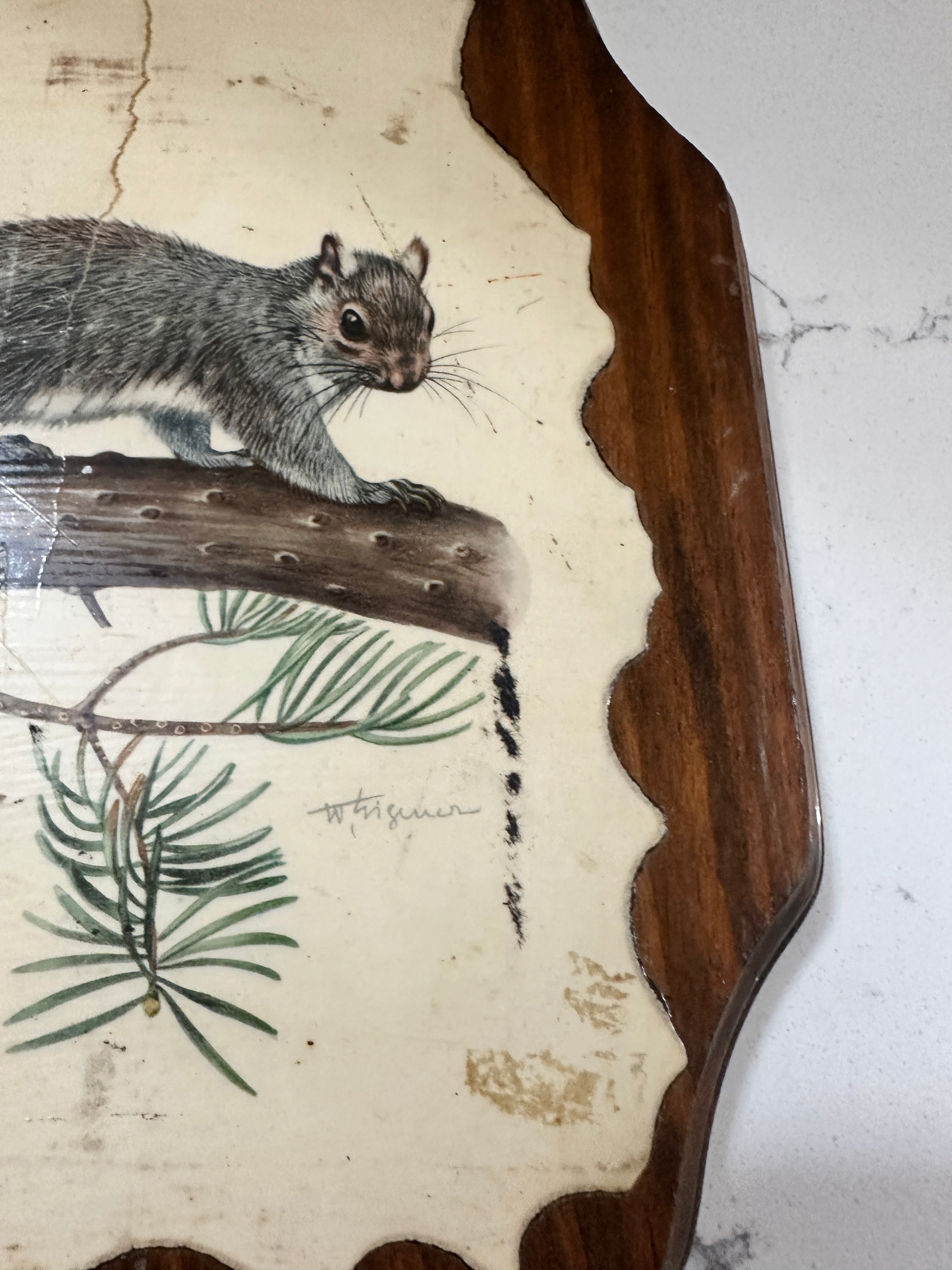 Vintage Rustic Squirrel Wood Wall Plaque | Woodland Cabin Decor | Handcrafted Wildlife Wall Hanging | 1970s Forest Lodge Decor