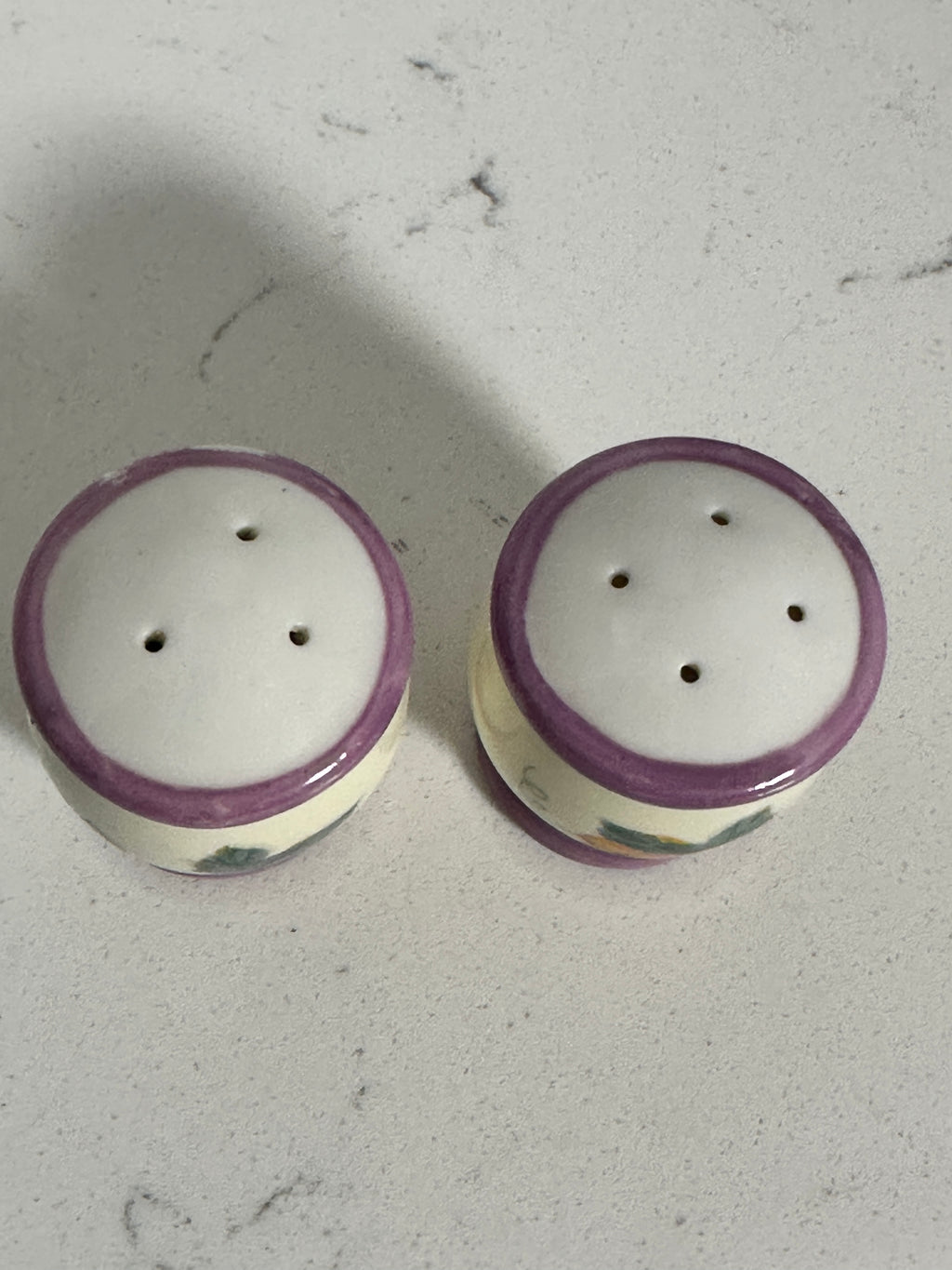 Ceramic Fruit & Floral Salt and Pepper Shakers | Purple Trim