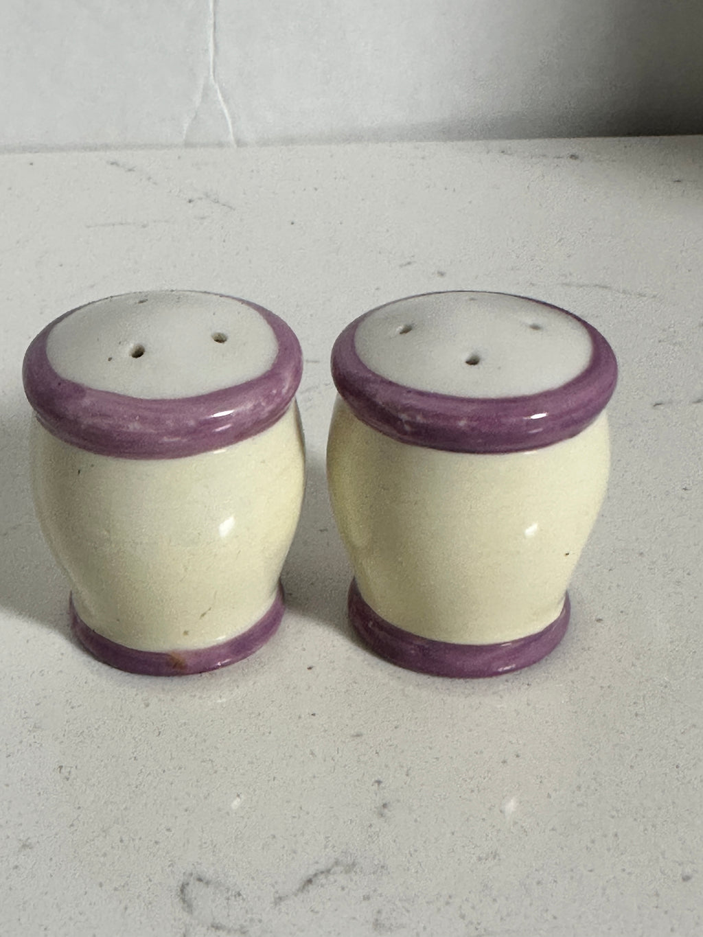 Ceramic Fruit & Floral Salt and Pepper Shakers | Purple Trim