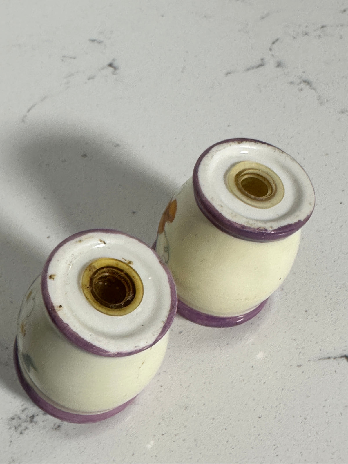 Ceramic Fruit & Floral Salt and Pepper Shakers | Purple Trim