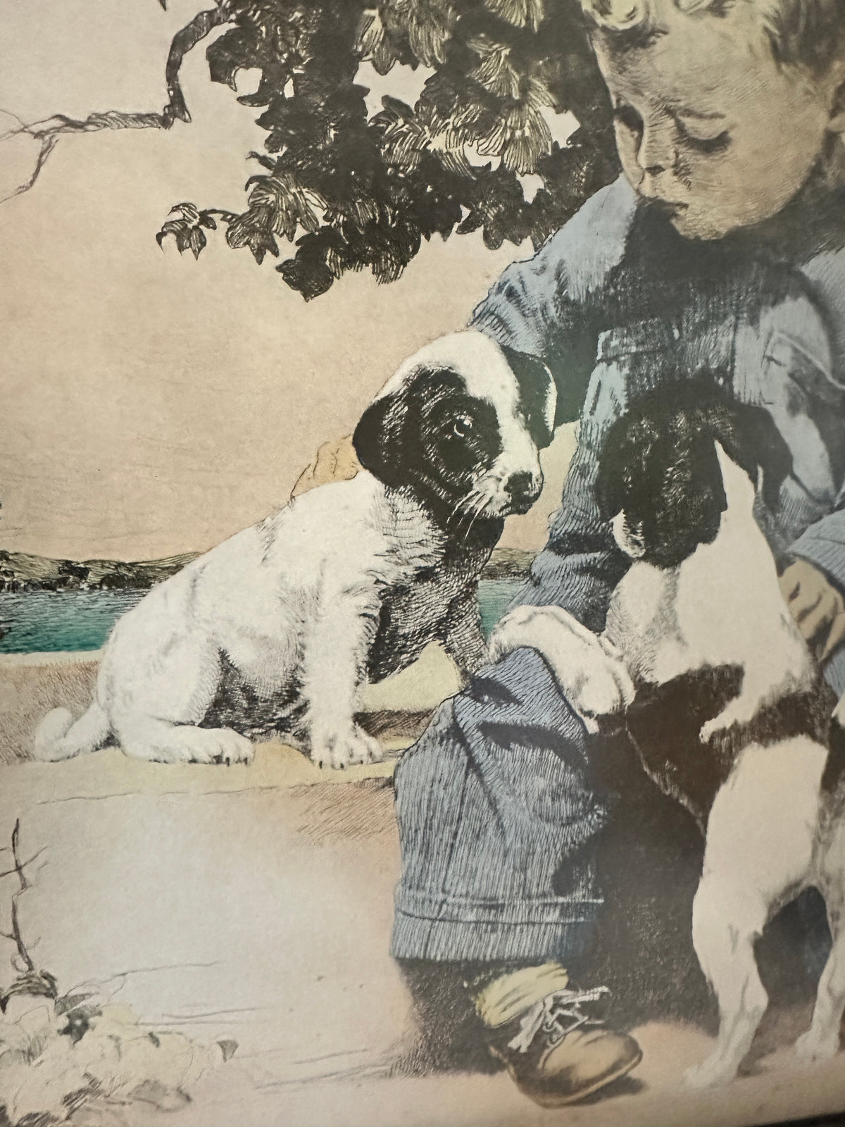 Vintage “Talking It Over” Framed Boy & Puppies Print – 17 x 14.5 Nostalgic Wall Art