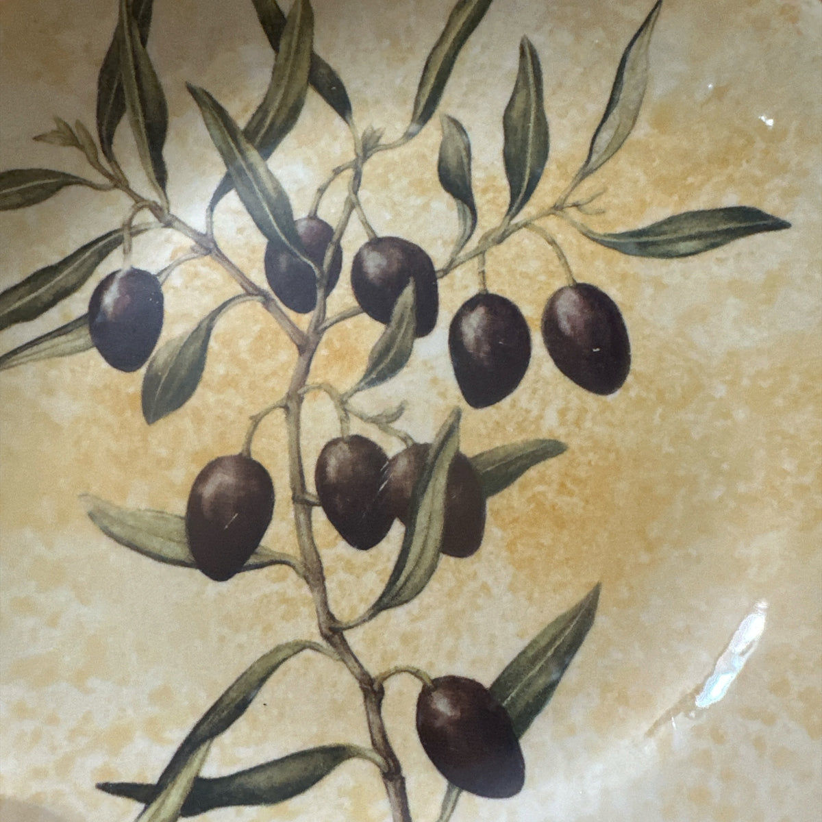 Williams Sonoma Les Oliviers Serving Bowl | Made in Portugal Olive Branch Pasta Bowl | Mediterranean Tuscan Kitchen Decor