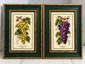 Martha Hinson Chardonnay & Cabernet Grape Prints | Framed Pair
