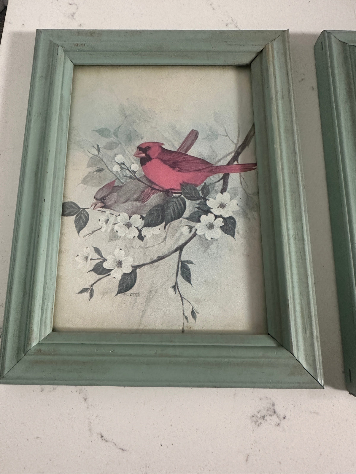 The Collected Chapter vintage cardinal bird print in a distressed sage green wooden frame for cottagecore wall decor.