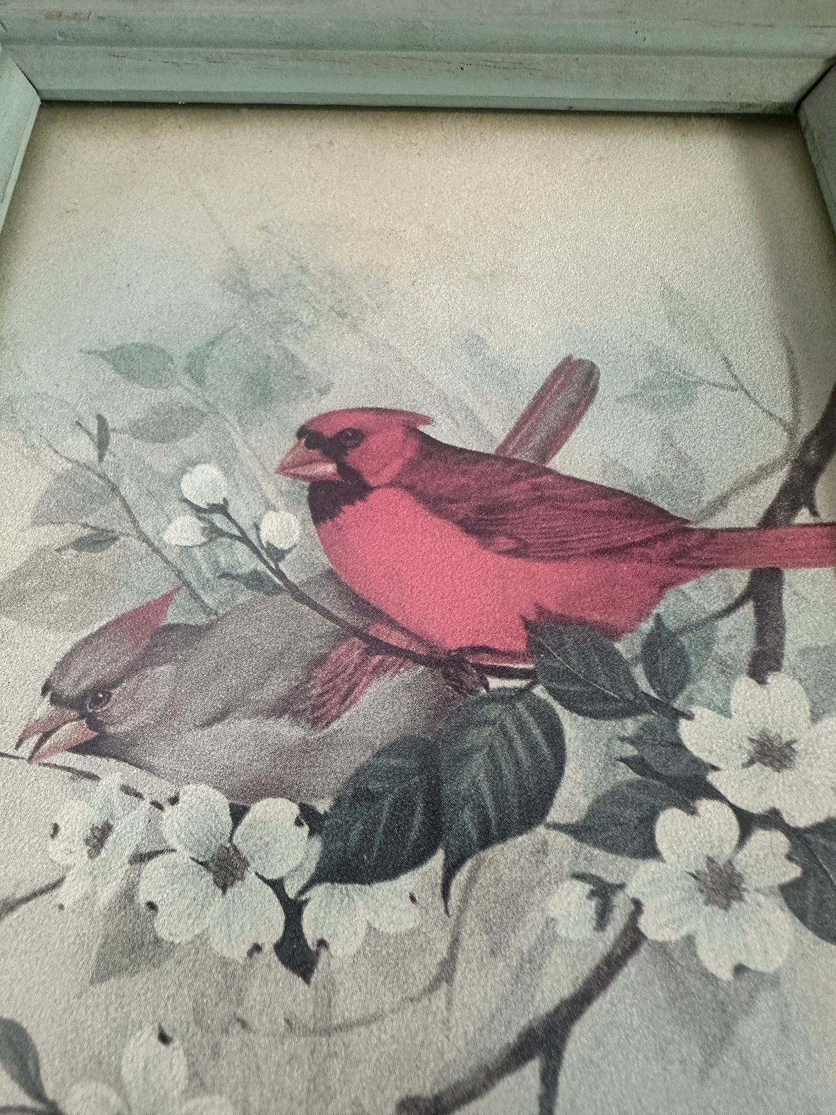 The Collected Chapter vintage cardinal bird print in a distressed sage green wood frame with white floral accents.