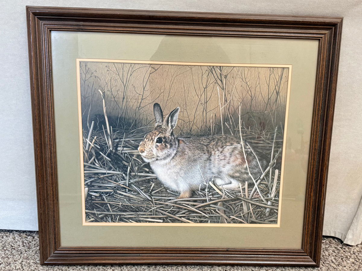 The Collected Chapter vintage Charles Fracé My Friend signed rabbit print in a dark wood frame with sage green matting.
