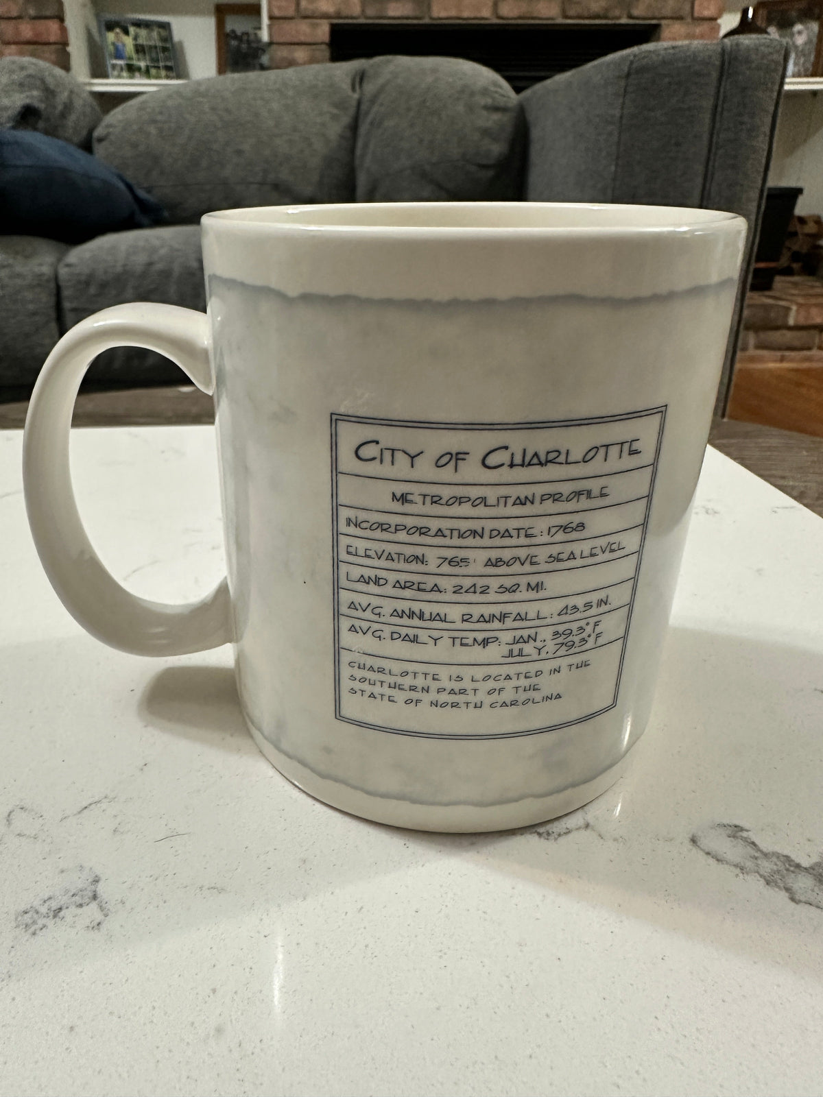 The Collected Chapter 2007 Starbucks Charlotte Queen City ceramic mug showing the city metropolitan profile on back