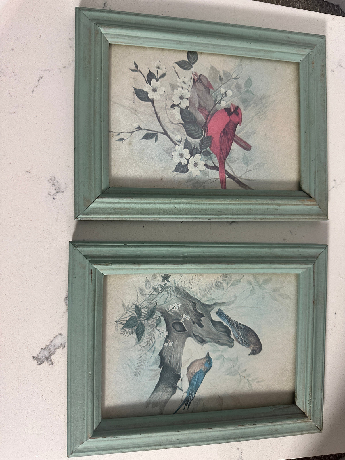 The Collected Chapter set of two vintage bird prints in distressed sage green wood frames featuring cardinals and bluebirds