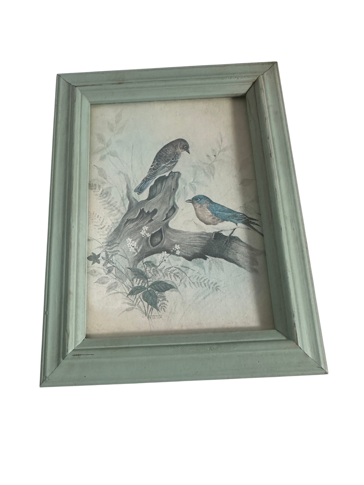The Collected Chapter vintage bluebird print in a distressed sage green wood frame for cottagecore wall decor
