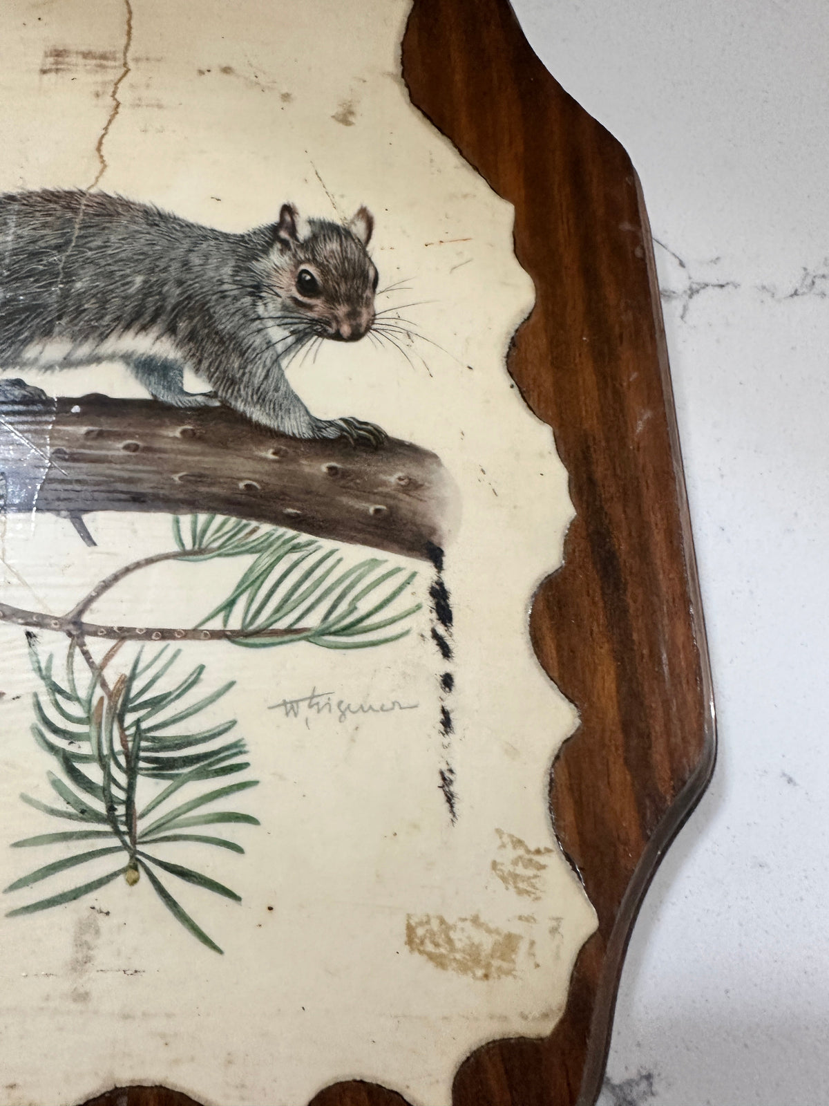 The Collected Chapter vintage rustic wood wall plaque featuring a detailed gray squirrel on a pine branch